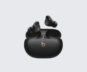 Beats True Wireless Earbuds with Charging Case